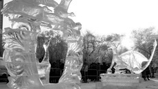 Фото Михаила ПЕРМИНА