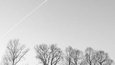 С мыслями о весне и дальних странах. Фото Юрия БЕЛОУСОВА