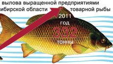 Инфографика Виктора БОЯРОВА
