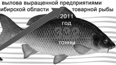 Инфографика Виктора БОЯРОВА