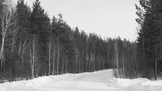 Продукции на 1 миллиард рублей произвела лесная отрасль региона в 2011 году. Но её потенциал гораздо выше. Фото Михаила ПЕРМИНА