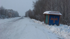 Фото Марианны ДАНИЛОВОЙ