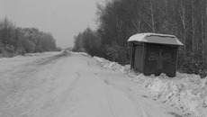 Фото Марианны ДАНИЛОВОЙ