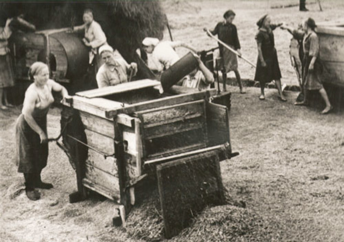 Обработка зерна на току. Новосибирская область, 1938 г. Фото Бориса ШУМАКОВА