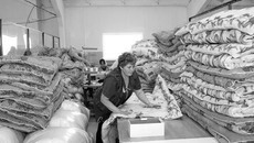 Продукция фирмы отмечена высокими наградами. Фото Михаила ПЕРМИНА