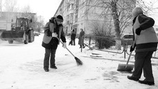 У дворников горячий сезон. Фото Михаила ПЕРМИНА