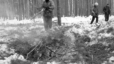 Сжигание порубочных остатков — также один из методов предупреждения лесных пожаров. Фото Виталия ЗЛОДЕЕВА