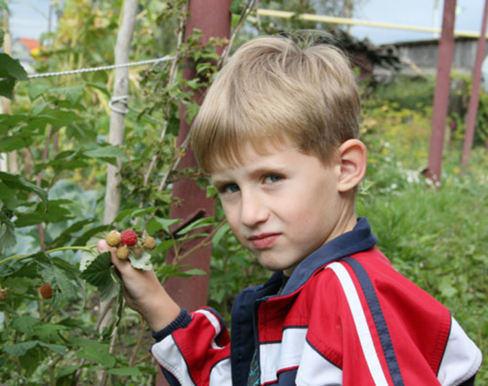 Разве дождёшься, когда она поспеет! Прислала Вера ИГНАТЕНКО
