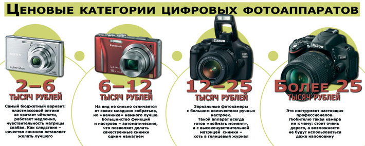 Инфографика Никиты СЕНАТОРОВА