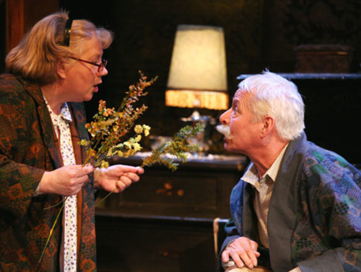 Заслуженные артисты РФ Наталья Орлова  и Евгений Важенин в спектакле «Старосветская любовь». Фото представлено театром «Глобус»