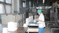 На ЗАО «НЭВЗ-КЕРАМИКС» успешно осваиваются новые направления производства керамики. Фото пресс-службы губернатора и правительства НСО