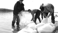 Зарыбление водоёма. Фото Михаила ПЕРМИНА
