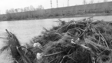 Очередная партия искусственных нерестилищ отправляется к местам установки. Фото предоставлено ФГБУ ««Верхнеобьрыбвод»