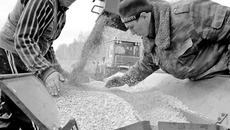 В вопросах заготовки кормов надёжнее полагаться на себя — от поля до производства. Фото Павла КОМАРОВА