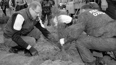 Губернатор считает, что масштаб работ по восстановлению лесов нужно увеличивать. Фото Павла КОМАРОВА