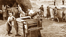 Живя неделями в шалашах, тыловички трудились на колхозных полях. Пахать приходилось на быках втроём: одна ведёт быка, вторая погоняет его, а третья идёт за плугом. Фото из архива редакции