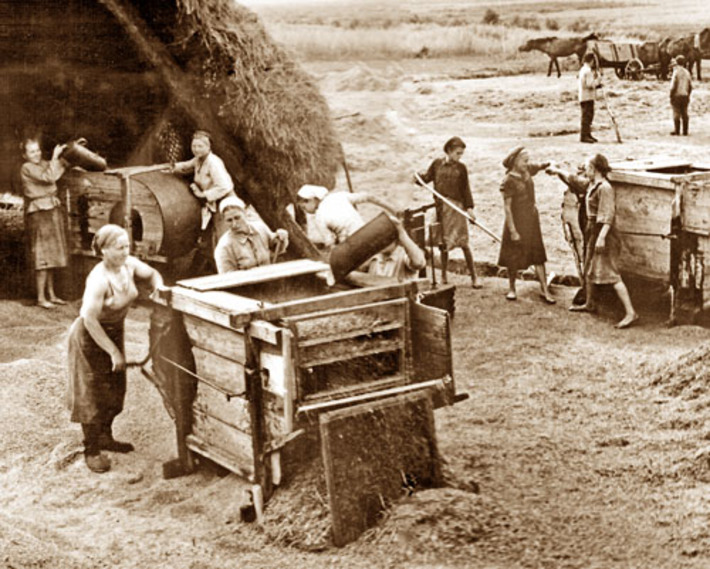 Живя неделями в шалашах, тыловички трудились на колхозных полях. Пахать приходилось на быках втроём: одна ведёт быка, вторая погоняет его, а третья идёт за плугом. Фото из архива редакции