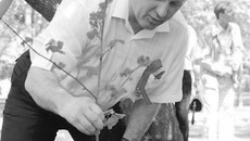 Депутат Госдумы РФ Анатолий Локоть посадил дерево на аллее Солидарности журналистов. Фото с сайта www.kprfnsk.ru