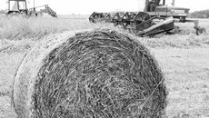 ФОТО Николая ЦАРЕВА