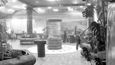 Фото предоставлены Парком бабочек