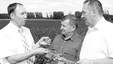 Разговор на опытном поле: директор СибНИИ кормов Николай Кашеваров, директор хозяйства «Элитное» Сергей Гомаско и директор Всероссийского НИИ кормов им. В.Р. Вильямса Владимир Косолапов. Фото Николая ЦАРЕВА