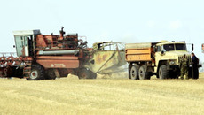 Фото Аркадия УВАРОВА