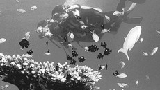 Фото с сайта www.aqua-sport.com