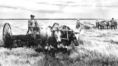 Сенокос в послевоенные годы. Фото Бориса ШУМАКОВА (из архива редакции)