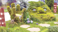 На выставке «Цветы, сады и парки Сибири» (Октябрьский район, идея сквера). Фото Аркадия УВАРОВА