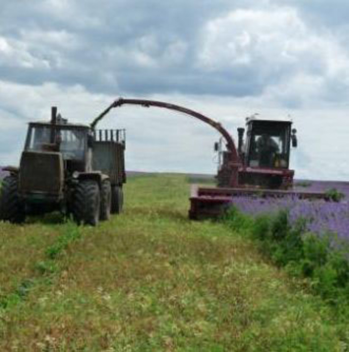 Закладывается сенаж из естественных трав. Фото с сайта buraevo.ru