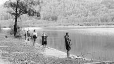 В озере Манжерок вода очень теплая. Фото предоставлено ФГБУ «Верхнеобьрыбвод»