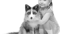 Фото с сайта www.myfoxclub.ru