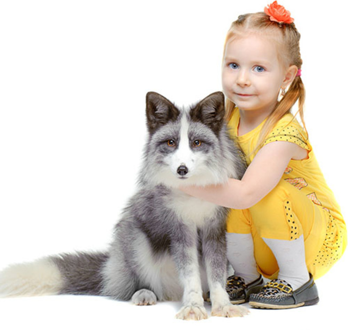 Фото с сайта www.myfoxclub.ru