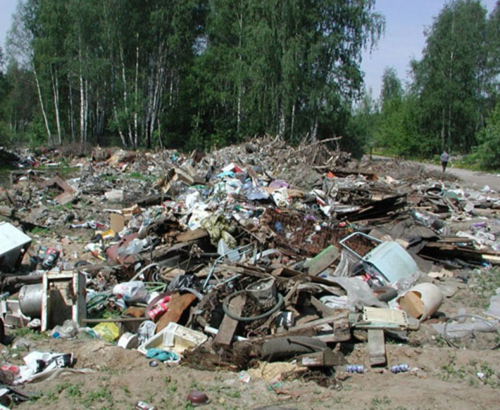Фото с сайта www.greenpeace.ru