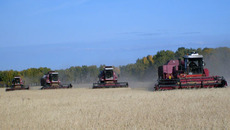 Баганская нива. Фото Петра ТЕЛЬЦОВА