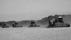 Баганская нива. Фото Петра ТЕЛЬЦОВА