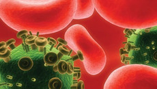 Иллюстрация с сайта www.scienceblog.ru