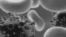Иллюстрация с сайта www.scienceblog.ru