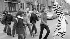 В Новосибирске автомобилистам показали «танцующий» пешеходный переход. Фото Аркадия УВАРОВА