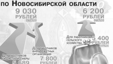 Инфографика Никиты СЕНАТОРОВА