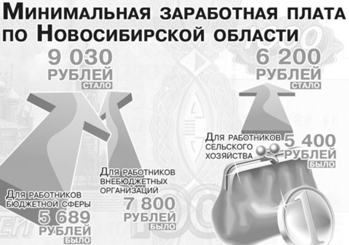Инфографика Никиты СЕНАТОРОВА