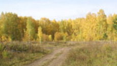 К 2015 году здесь вырастут дома  для молодых ученых.          Фото пресс-службы губернатора и правительства НСО