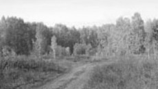 К 2015 году здесь вырастут дома  для молодых ученых.          Фото пресс-службы губернатора и правительства НСО