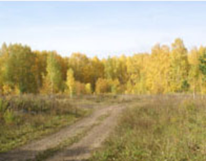 К 2015 году здесь вырастут дома  для молодых ученых.          Фото пресс-службы губернатора и правительства НСО