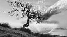 В коллаже Игоря ФРОЛОВА использован снимок Billd-press