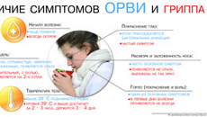 Инфографика Никиты СЕНАТОРОВА