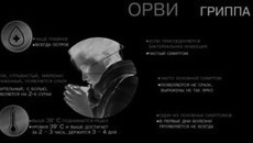 Инфографика Никиты СЕНАТОРОВА