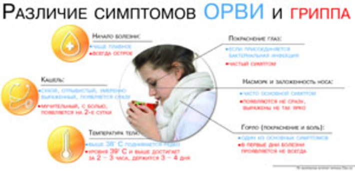Инфографика Никиты СЕНАТОРОВА