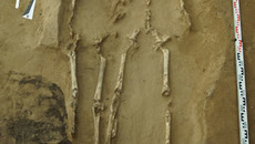 Берёзовый остров. Ранняя бронза. Фотографии предоставлены Сергеем РОСЛЯКОВЫМ