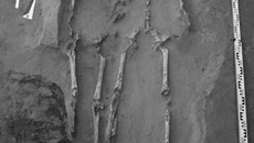 Берёзовый остров. Ранняя бронза. Фотографии предоставлены Сергеем РОСЛЯКОВЫМ